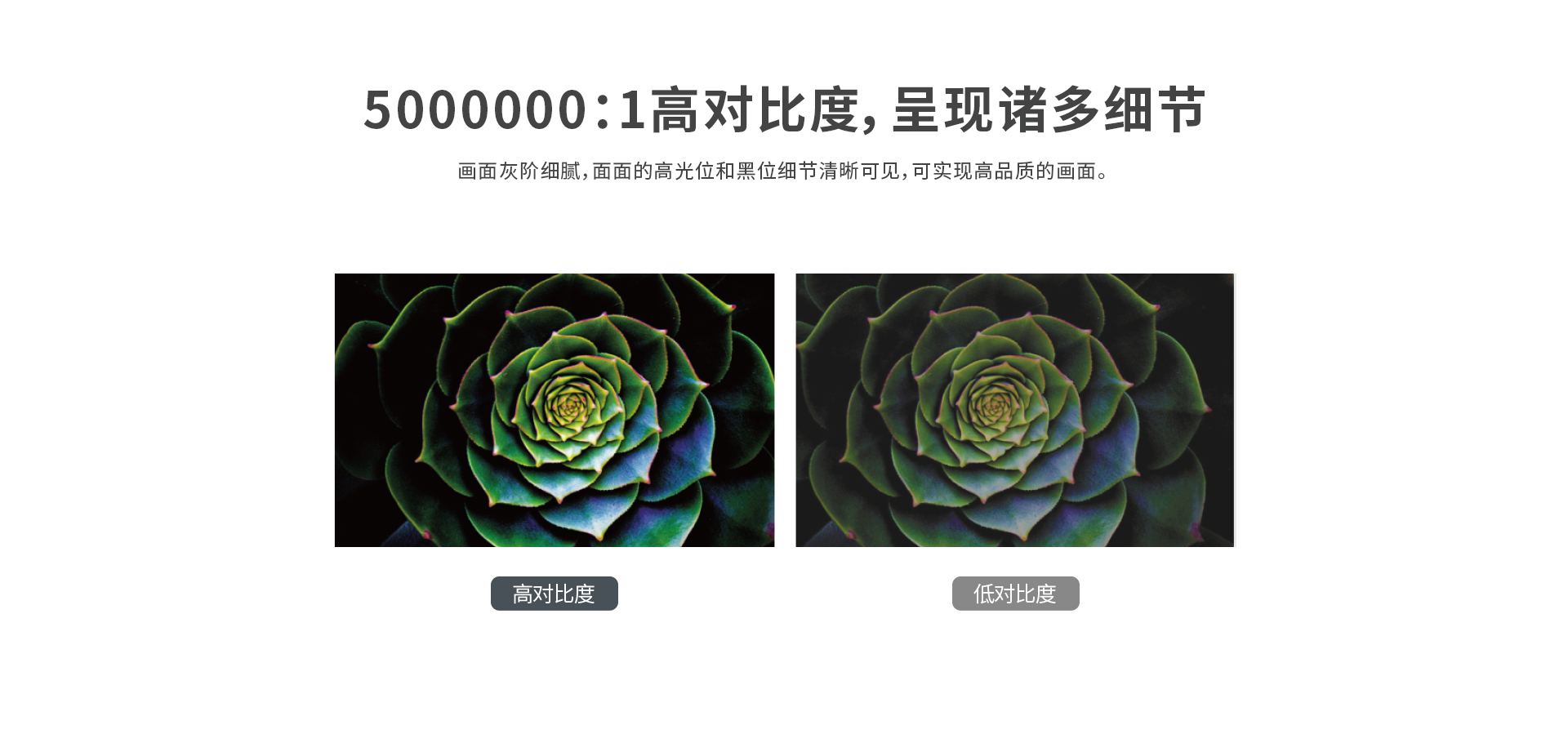 298手游网站-最好的娱乐游戏大厅