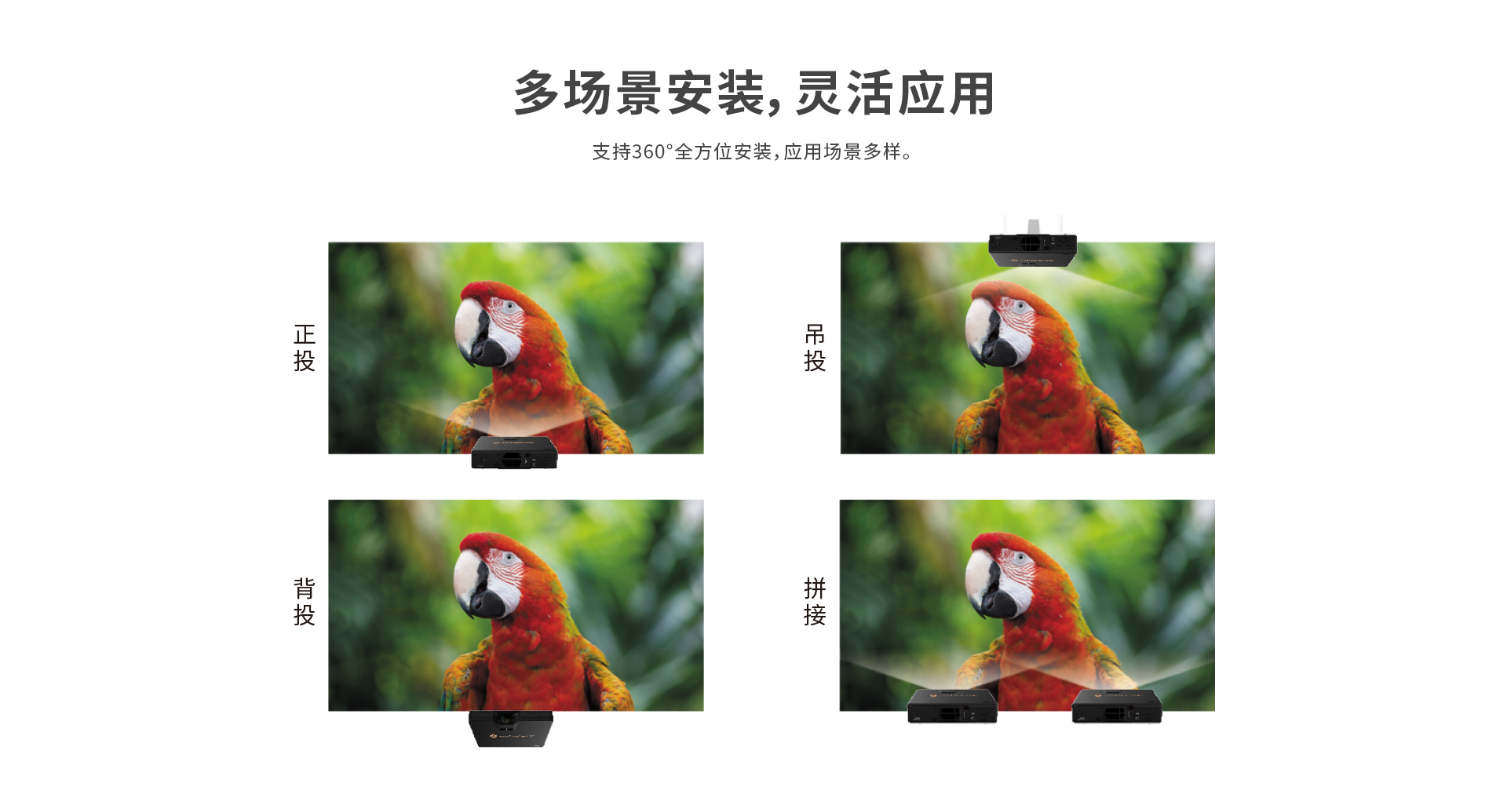 298手游网站-最好的娱乐游戏大厅